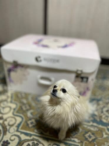 набор постельного белья: Пастельный комплект на приданное — 2