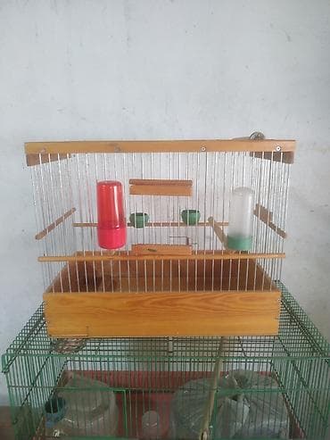 ручной попугай: Комплект клеток и аксессуаров для птиц Состав: - Большая напольная — 3