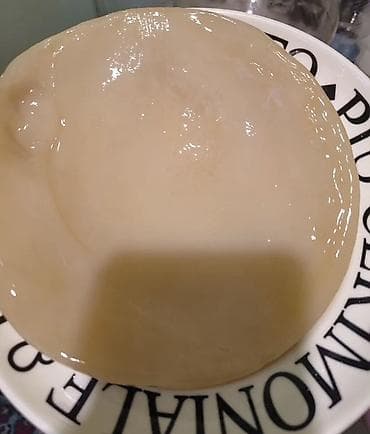 споры грибов: Чайный гриб (SCOBY) для комбуча . У кого есть грибы звоните или пишите — 2