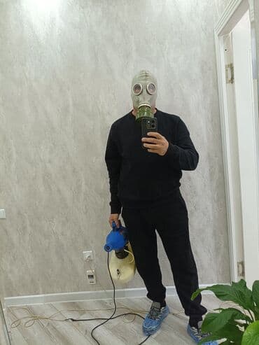 дезинфекция дома: Дезинфекция, дезинсекция, | Тараканы, Муравьи, Клопы, | Подвал, погреб, Офисы, Транспорт — 1