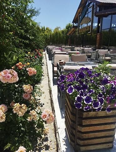 отдых в royal beach: Коттедж, Palm Beach, Чок-Тал, 6 мест — 9