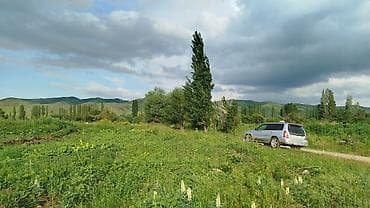 сколько стоит дом на колесах в кыргызстане: Subaru Forester: 2004 г., 2 л, Автомат, Бензин — 4
