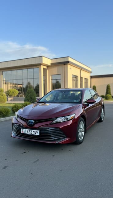 домкрат на тойота: Toyota Camry: 2021 г., Автомат, Гибрид — 2