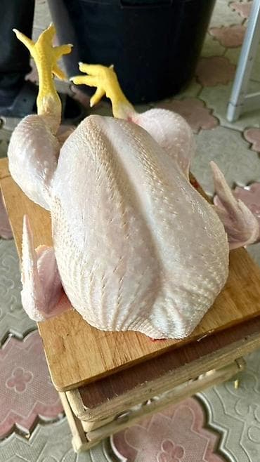 уй порода: Продаем домашних бройлеров — выращены на натуральных кормах с особым — 3