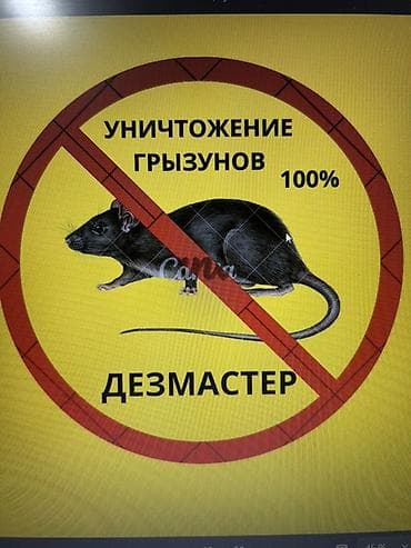 от насекомых: Дезинфекция, дезинсекция, | Клопы, Блохи, Тараканы, | Транспорт, Офисы, Квартиры — 1