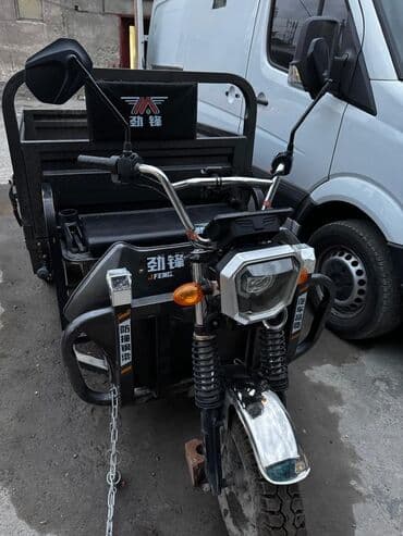 электрический трехколесный мотоцикл: Легкий грузовик, Б/у — 1