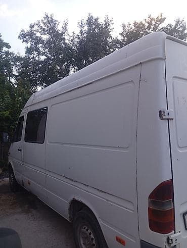 купить скричеры: Mercedes-Benz Спринтер: 2001 г., 2.9 л, Механика, Дизель — 1