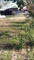 дом аренда токмок: 4 соток, Курулуш, Кызыл китеп — 3