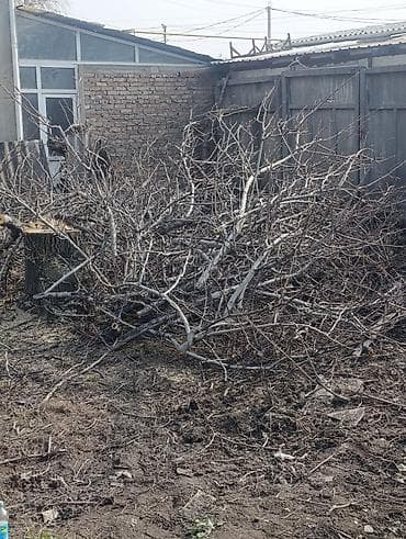 Бакча техникасы жана жабдуулар: Отун — 3