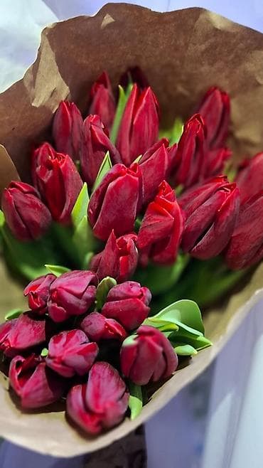 бумага для букетов: Тюльпаны срезанные, в крафт-упаковке. - Разновидности и окраски — 1