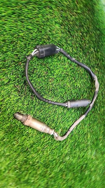 elave is: 7 861 —-431 Лямдазонд Год 2005 В отличном состоянии, очень большой — 4