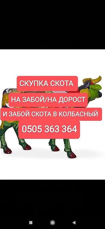 Частное лицо, Колбасный цех : Коровы, быки, Лошади, кони, Другие с/х животные, | Круглосуточно, Любое состояние, Забитый