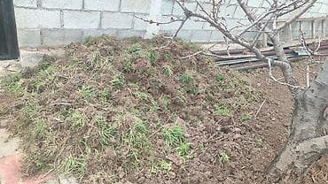 Стирка ковров: Уборка территории, Уборка двора и сада — 7