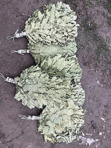 Мётлы: Метла — 1