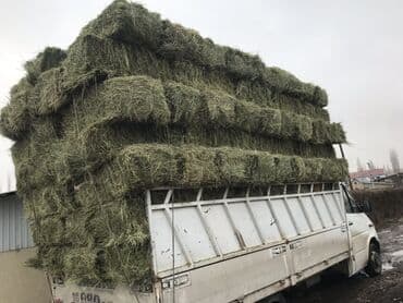 Сено в тюках - Натуральное луговое сено, спрессовано в прямоугольные