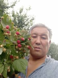 семена микрозелени бишкек: Другие виды семян и саженцев — 5