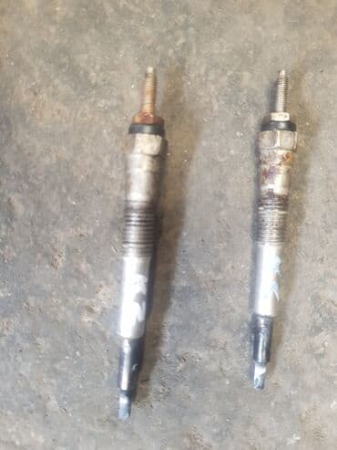 купить золотистого ретривера: Свечи — 2