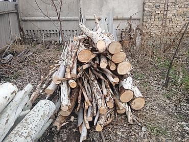 Садовая техника и оборудование: Дрова Тополь — 2