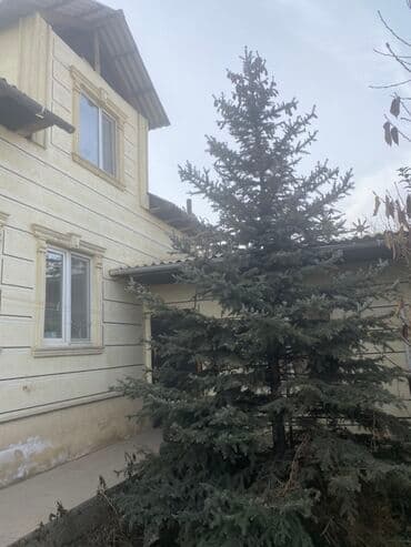 Үйдү ижарага алам: Үй, 101 кв. м, 5 бөлмө, Менчик ээси, Косметикалык оңдоо — 1