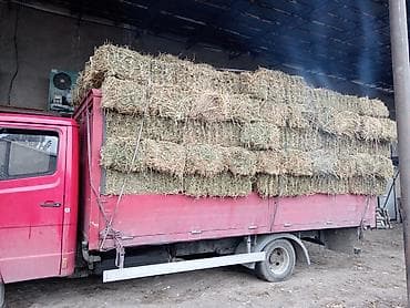 сена тюки: Сено в тюках клевер ☘️ ☘️☘️ цена 380 кипы) - Заготовка — 1