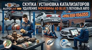 AUTOCAT PRO — профессиональные услуги по катализаторам и системе