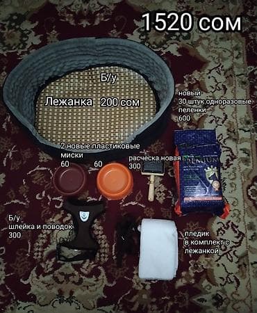 Набор для щенка В набор входит:Лежанка,мягкий плед, 2 пластиковые lalafo.kg да Набор для щенка В набор входит:Лежанка,мягкий плед, 2 пластиковые