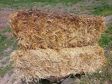 канат верёвка: Арпа саман сатылат 100 сом - Тип: ячмень солома, прессованные — 3