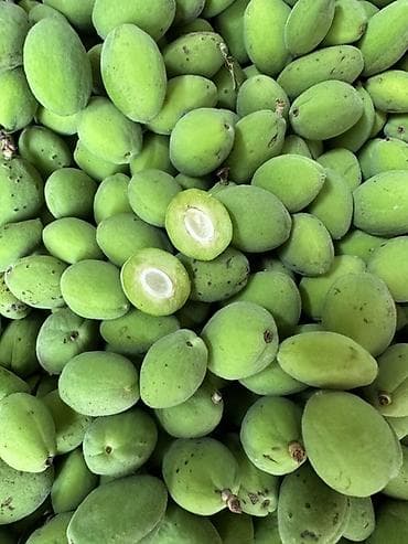 лук репчатый цена: Абрикосы — 2