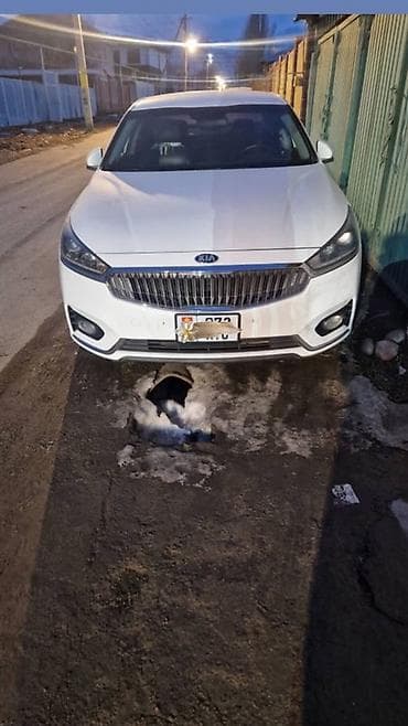 Kia: Kia K7: 2017 г., 0.3 л, Автомат, Газ, Седан — 3