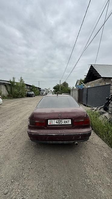 хонда сивик левый рул: Honda Accord: 1995 г., Механика, Седан — 9