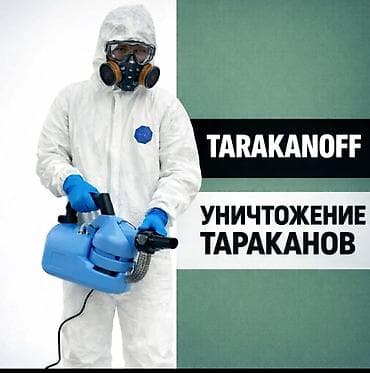 утепление квартиры: Профессиональная дезинсекция от тараканов — TARAKANOFF - — 1