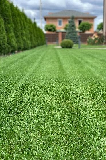 садовый тример: Газонокосилка MTD (электрическая) косим газон районе.Воронсовка,Село — 3