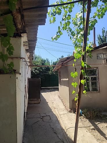 Недвижимость: 8 соток, Для сельского хозяйства, Красная книга — 3