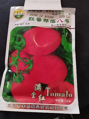 гүл челек: Продается семена помидора китайский Новичок .Крупные и урожайные — 3