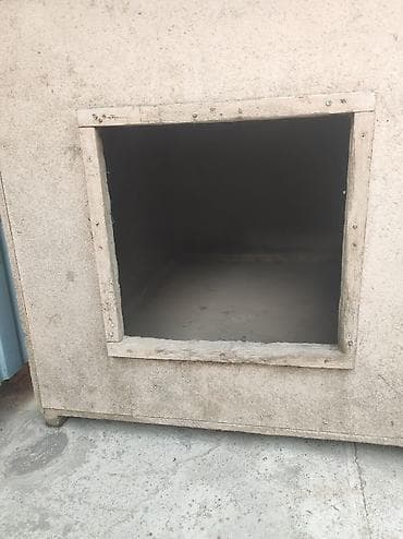 alabai dog: Собака даром: Алабай, 1 месяц, Самец, С родословной — 3