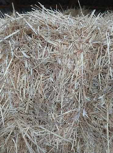 солома в тюках: Солома в тюках - Вид: злаковая солома (светло‑золотистая, хорошо — 3