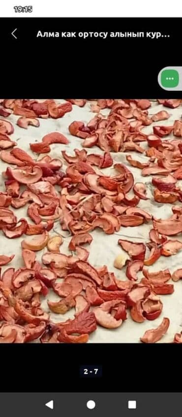 форма для копилка: Алма как ортосу алынып күндүн нуруна кургатылган курук таптаза өрүк — 2