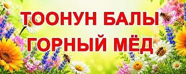 Продукты питания: Горный мёд (Тоонун балы)

- Натуральный мёд 1000%.Оптом.Карабалта — 1