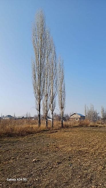 4 соток, Для сельского хозяйства, Красная книга, Тех паспорт, Договор купли-продажи — 2