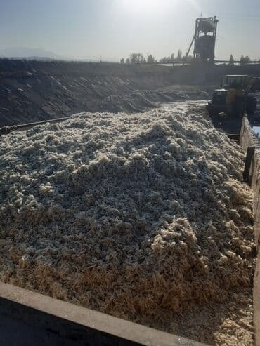сколько стоит кролик домашний: Башка а/ч жаныбарлары — 4