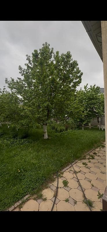 дома ала арча: 180 м², 6 комнат — 3