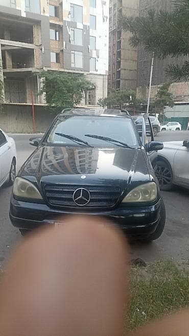 Mercedes-Benz ML-Class: 2003 г., 3.2 л, Автомат, Бензин, Кроссовер