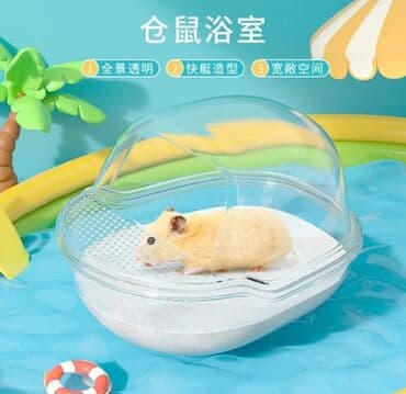 Ламинат: Продаю джунгарских и сирийских хомячков,а так же — 7