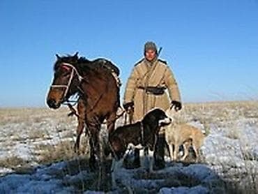 Требуется Пастух, Оплата: Ежемесячно