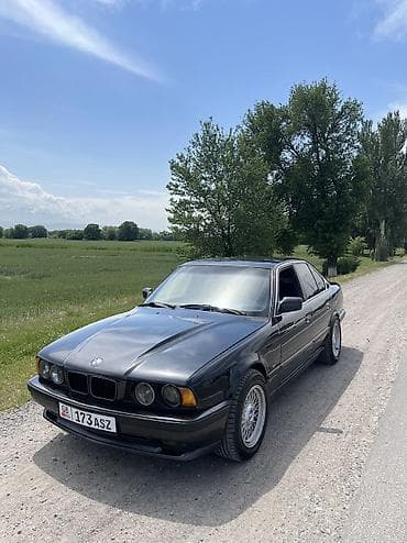 ford crown victoria: BMW 5 series: 1991 г., 4.6 л, Автомат, Бензин — 2