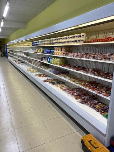 торговое оборудование для продуктовых магазинов бу: Сүт азыктары үчүн, Орусия, Колдонулган — 1