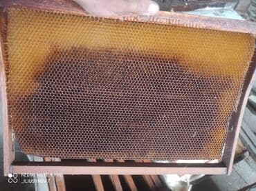 Рамки для пчёл суш в отличном состоянии ( срочно продается ) !