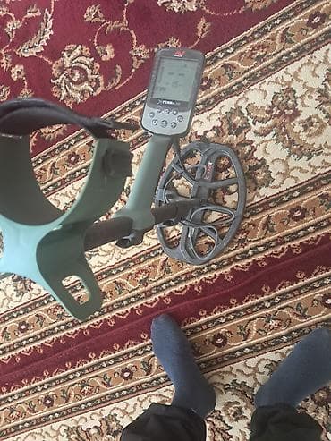 горизонтальный бурение: Металлоискатель Minelab X-Terra с контроллером на штанге и катушкой — 2