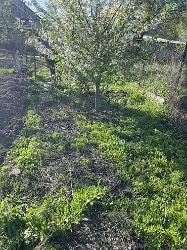 Дома: Продаётся дом с большим участком 11 сото дом 3 спальни зал кухня — 6