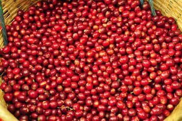 полки для магазина продуктов: Замороженные фрукты, ягоды, Клубника, Шоковая, Оптом — 7